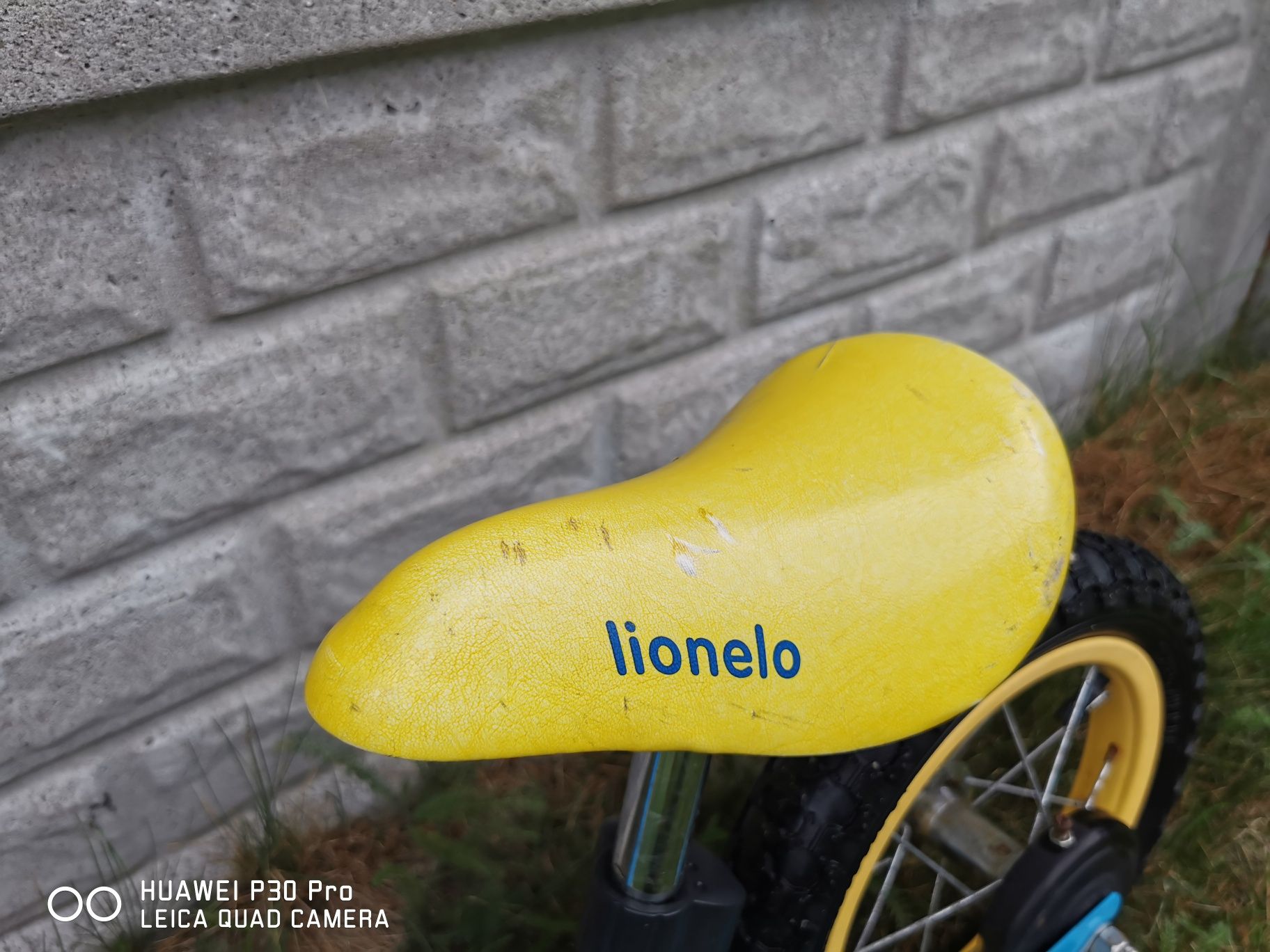 Rowerek biegowy Lionelo