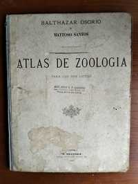 Atlas de Zoologia 1907