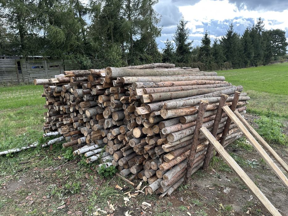 Stemple drewniane 3m