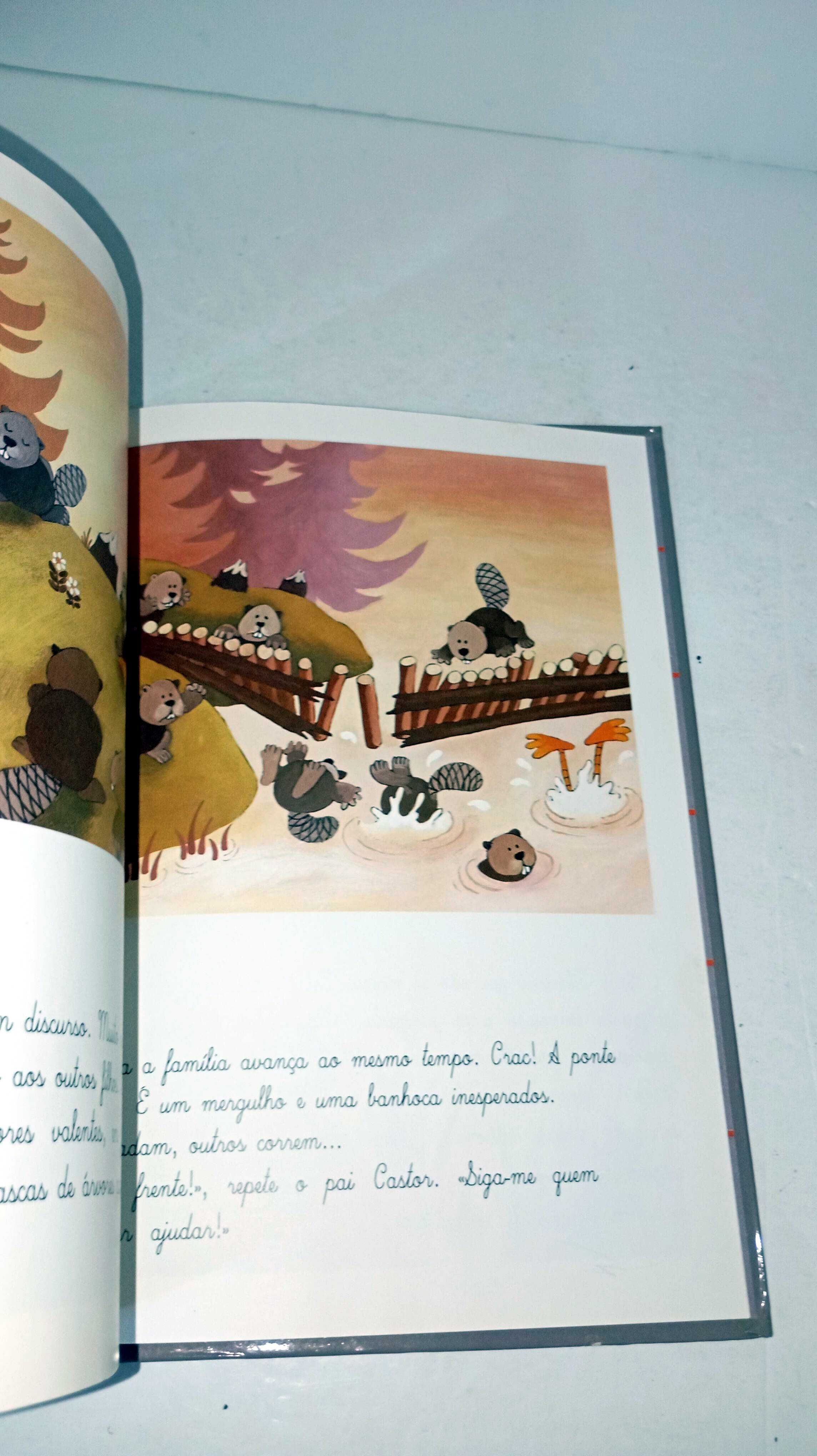 O Castor Preguiçoso -- começo a ler