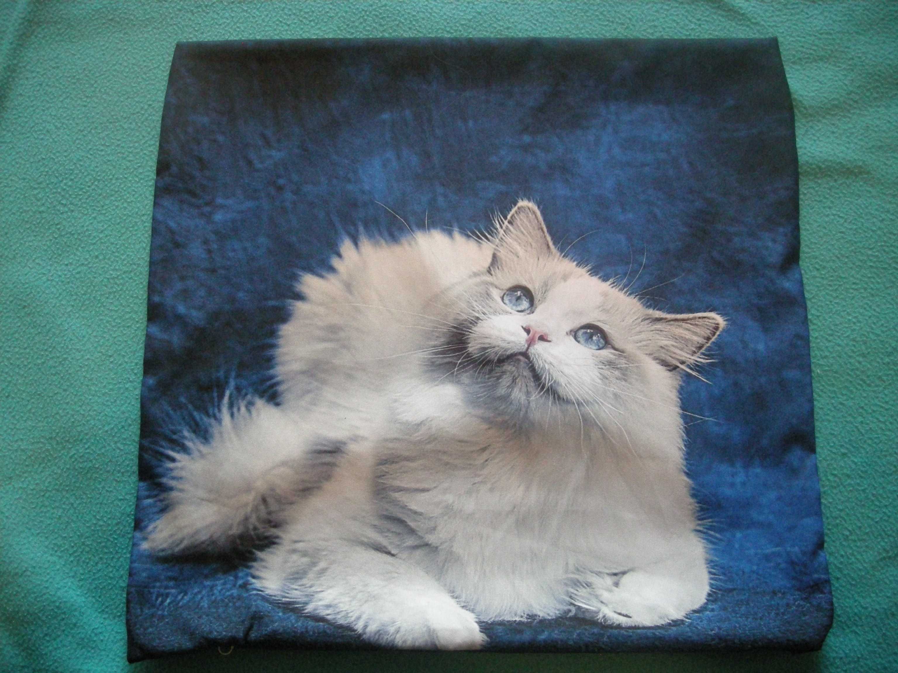 Kot Ragdolli kotek poszewka powłoczka na poduszkę jaśka