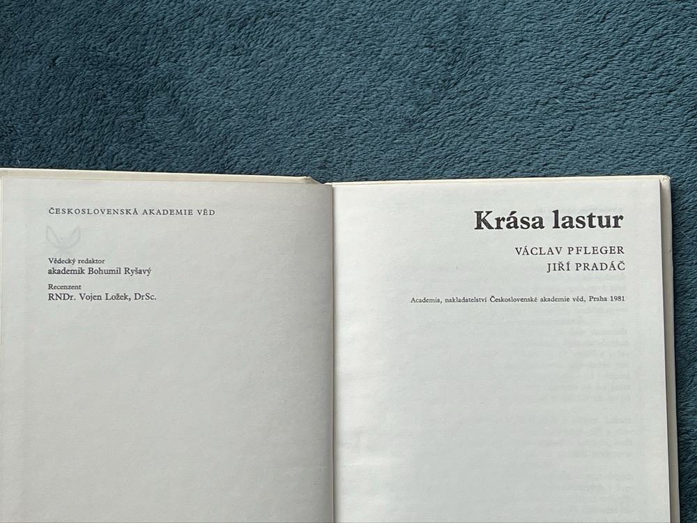 Krása lastur; Václav Pfleger, Jiri Pradáč; 1981 r