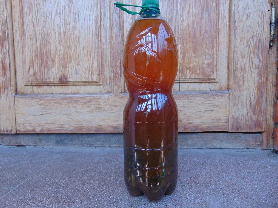 Воскової молі екстракт з власної пасіки