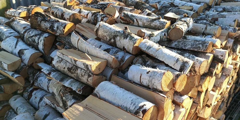 Drewno opałowe brzoza