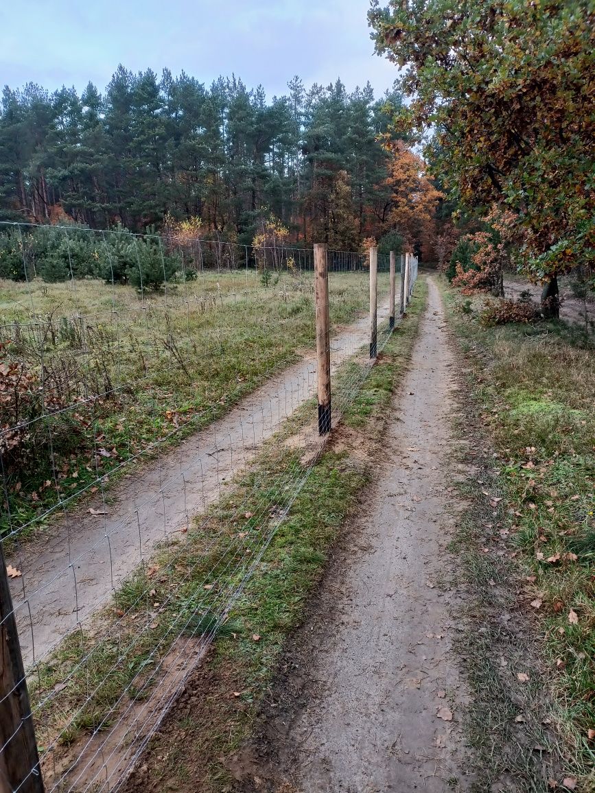 Ogrodzenie Leśne Ogrodzenie Tymczasowe Budowlane