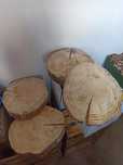 Plastry drewna - ok. 35 cm