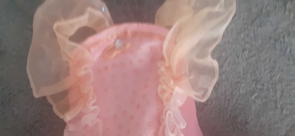 Roupa de carnaval  fadinha