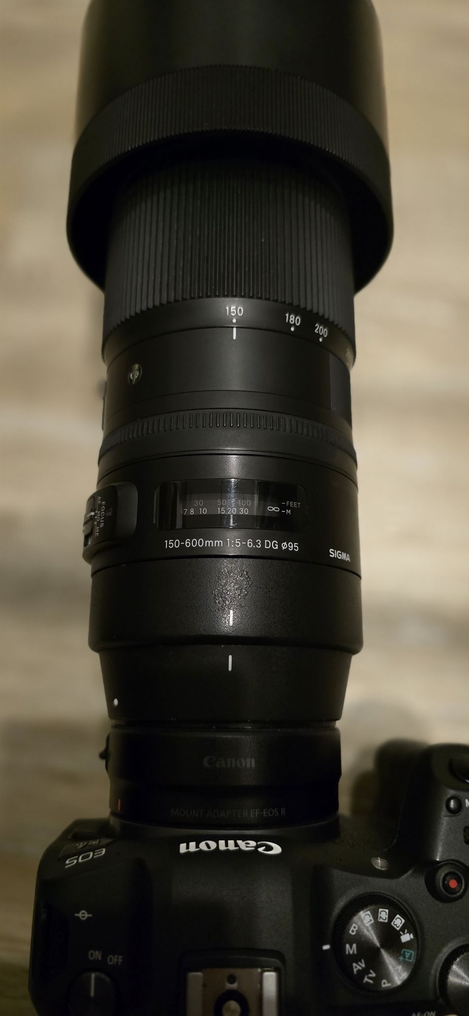 Sigma 150-600mm Contemporary F5 - 6.3