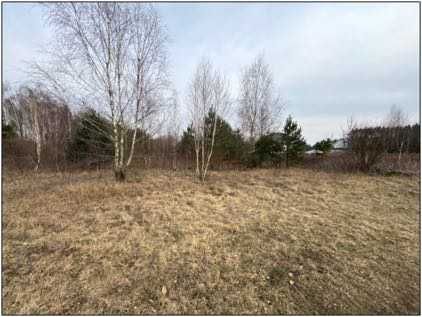 Działka rolna w miejscowości Ciechocin / Małszyce, 1355 m2