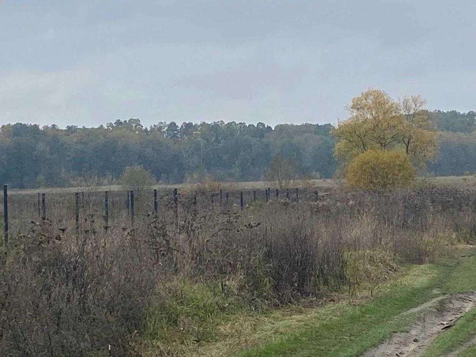 Продаж земельної ділянки в селі Селище