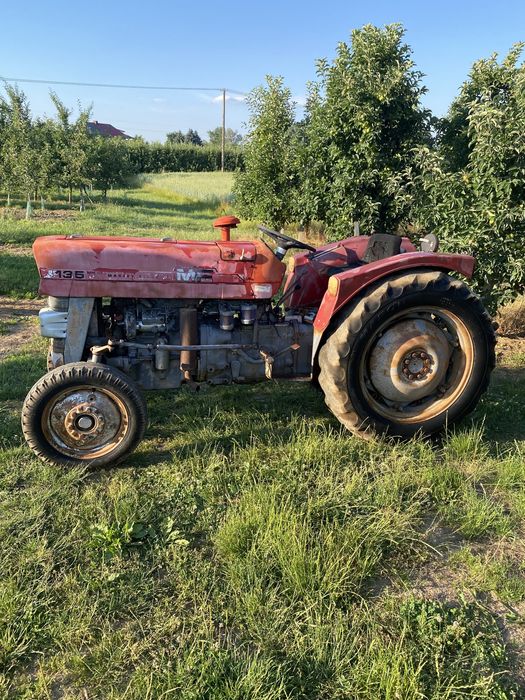 Massey Ferguson MF 135v 3cyl 47KM, sadowniczy 110cm, Ford,renault