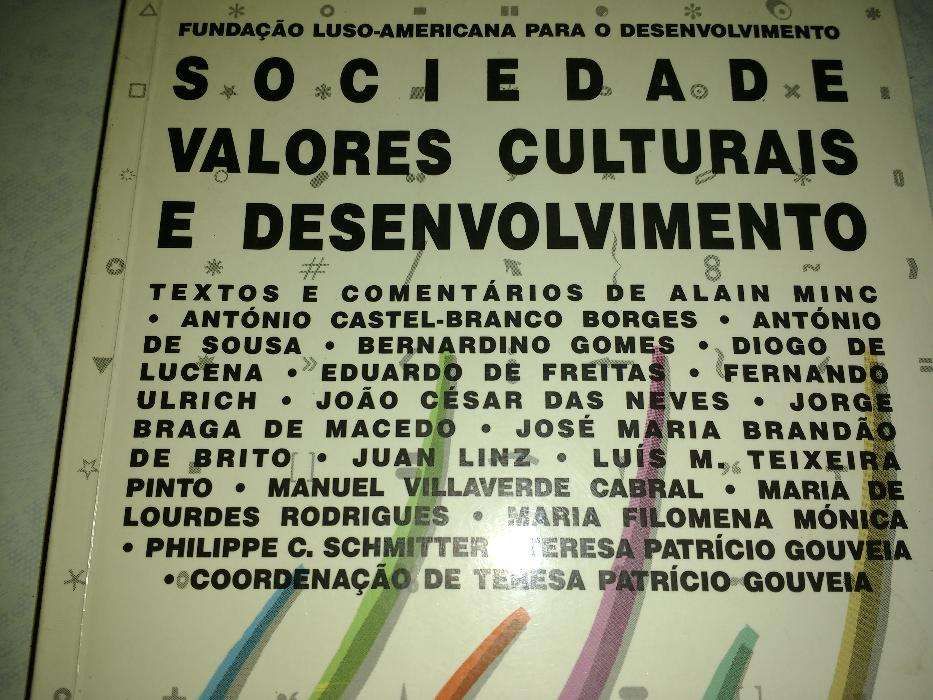 Sociedade, valores culturais e desenvolvimento.Teresa Patrício Gouveia