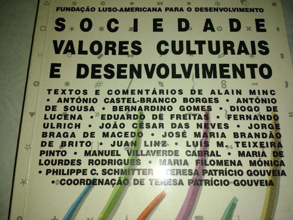 Sociedade, valores culturais e desenvolvimento.Teresa Patrício Gouveia