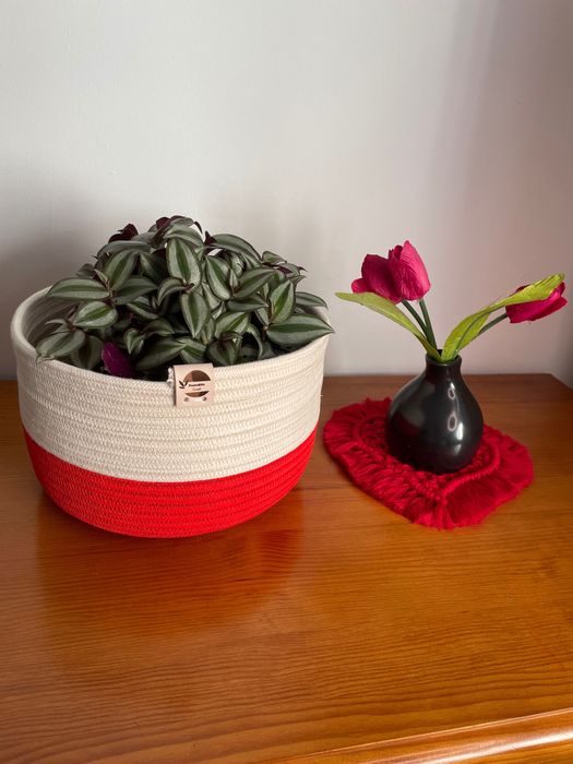 Cesto para plantas