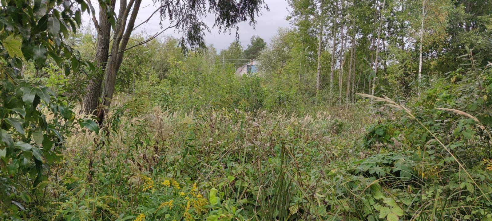 ділянка 12с.  у с. Загальці, Бучанського р-ну Київської обл.
