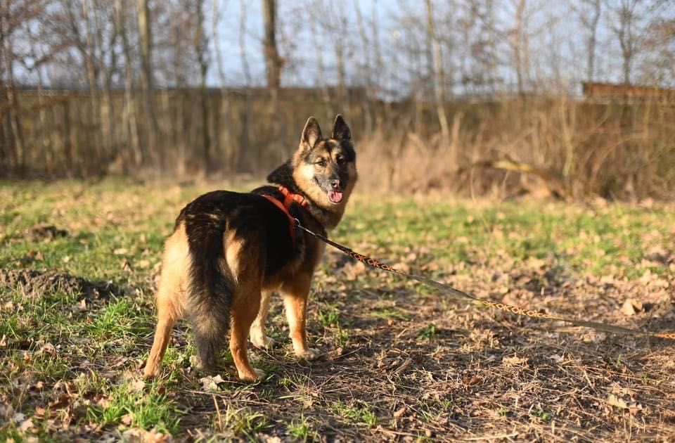 Kloe mądra przekochana indywidualistka