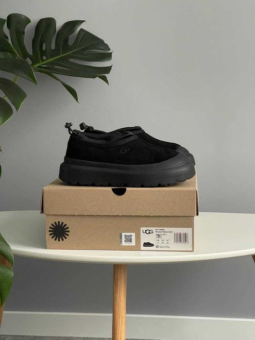 Чоловічі натуральні уггі UGG Tasman Hybrid Chestnut Blue (36-45 р.)