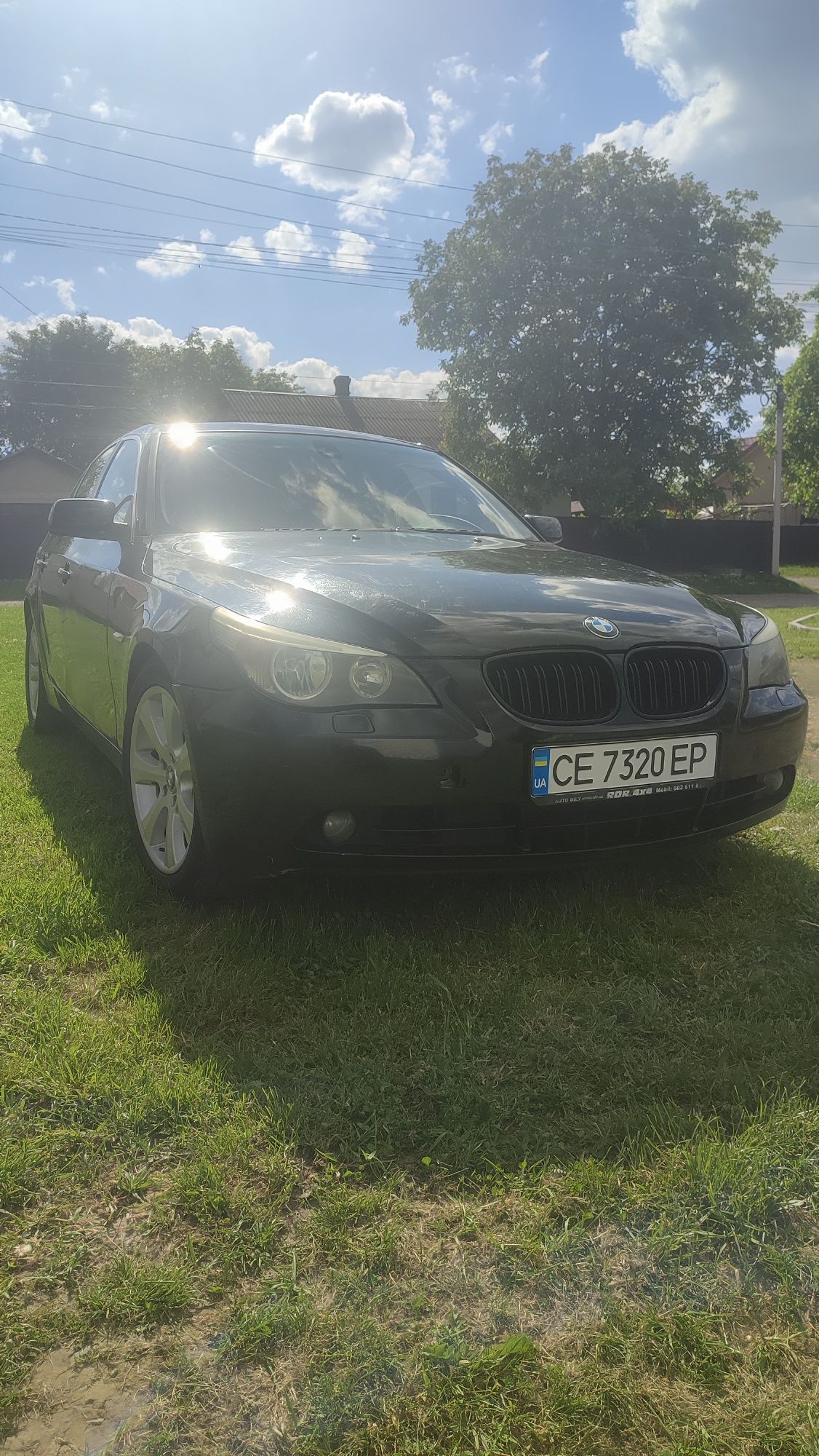 BMW 525i E60 2003