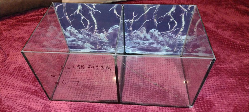 Akwarium terrarium dla pająków, ślimaków żabek mrówek