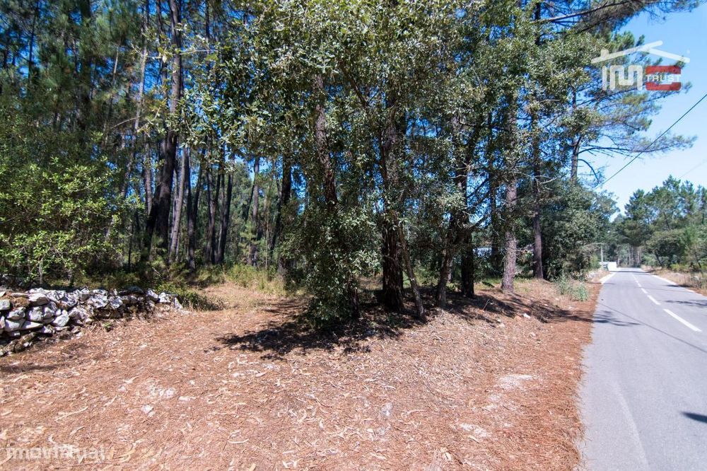 Terreno Rústico De 930 M2 Com Pinhal E Terra De Cultura