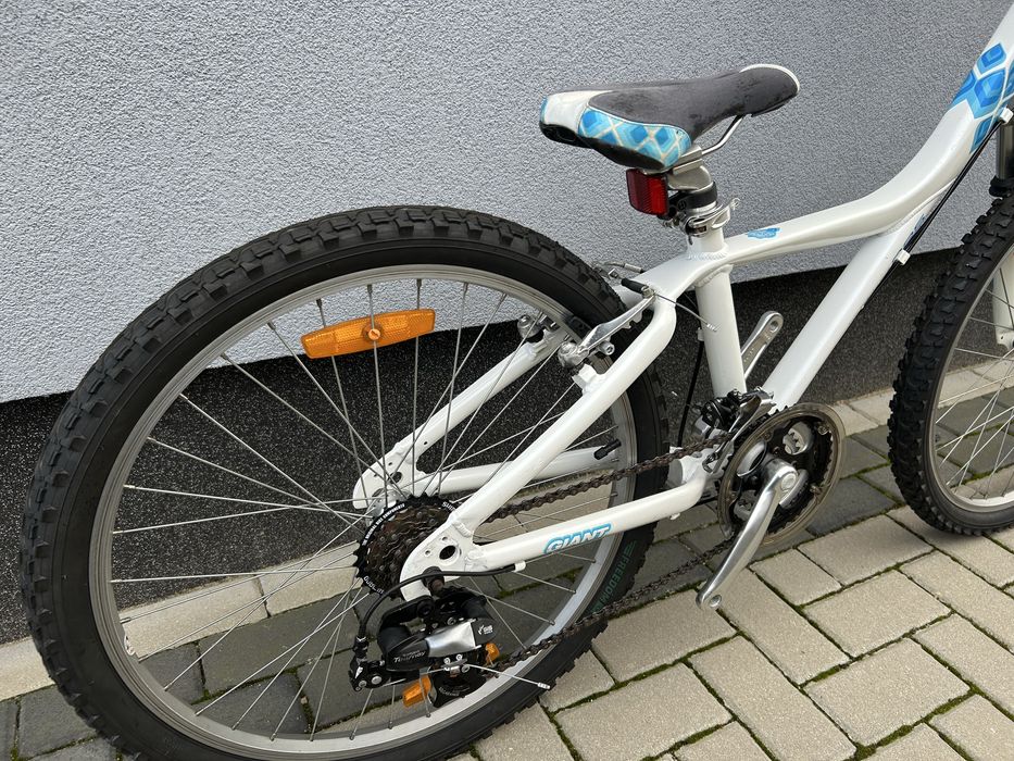 Rower Giant Taffy 24”