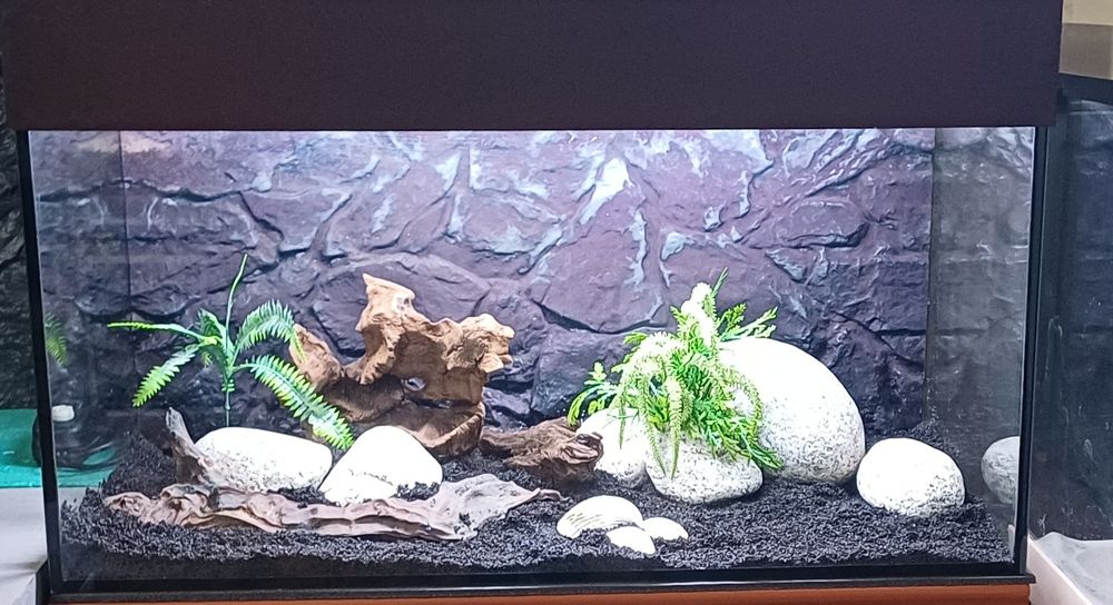 Akwarium zestaw 80x40x40 128L