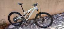 Specialized Stumpjumper Mullet Evo Pro S3