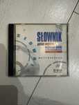 Słownik polsko-angielski CD