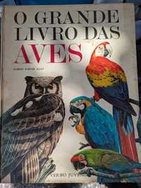 O Grande Livro das Aves de Robert Porter Allen