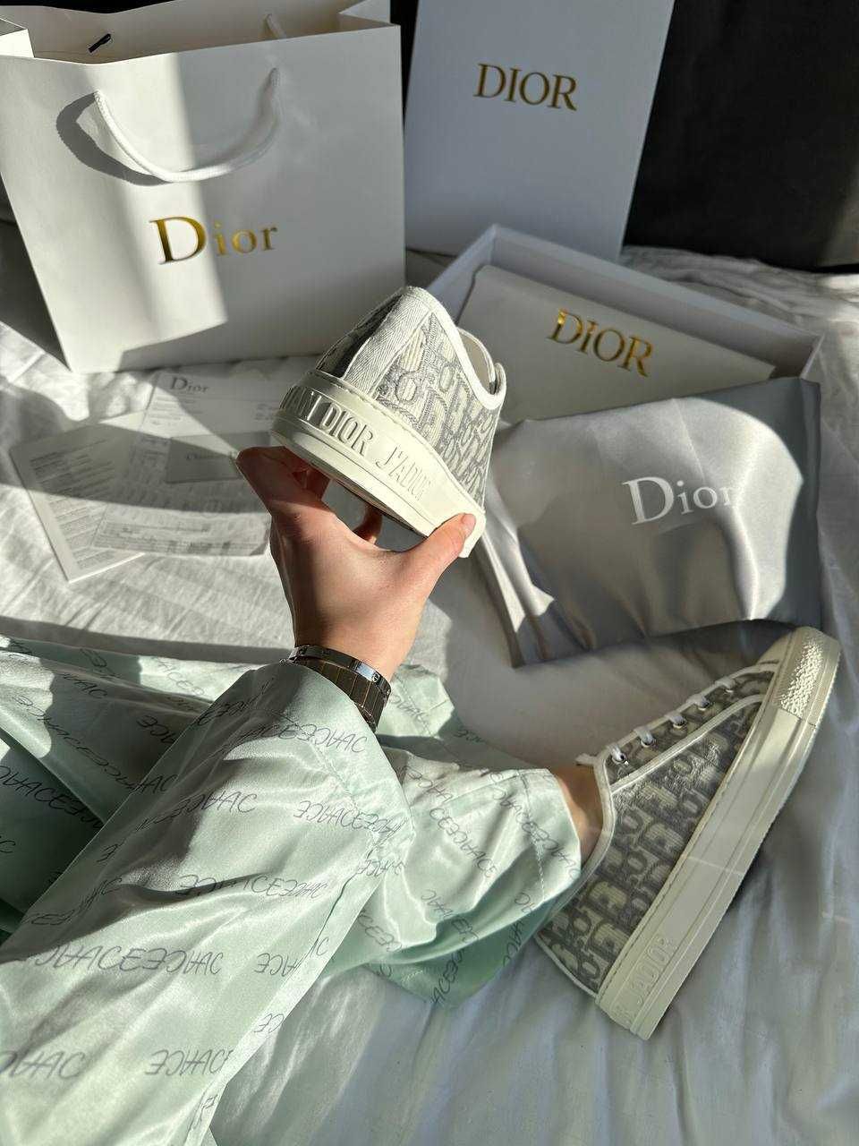 Dior Sneakers Low Grey Premium