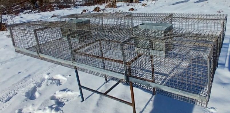 Клітка для Кролів