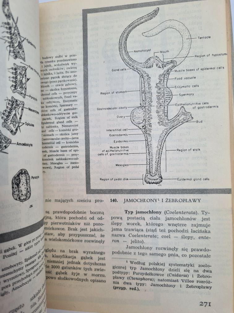 Biologia - Claude A. Villee. Książka