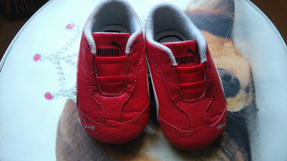 Buty puma ferrari