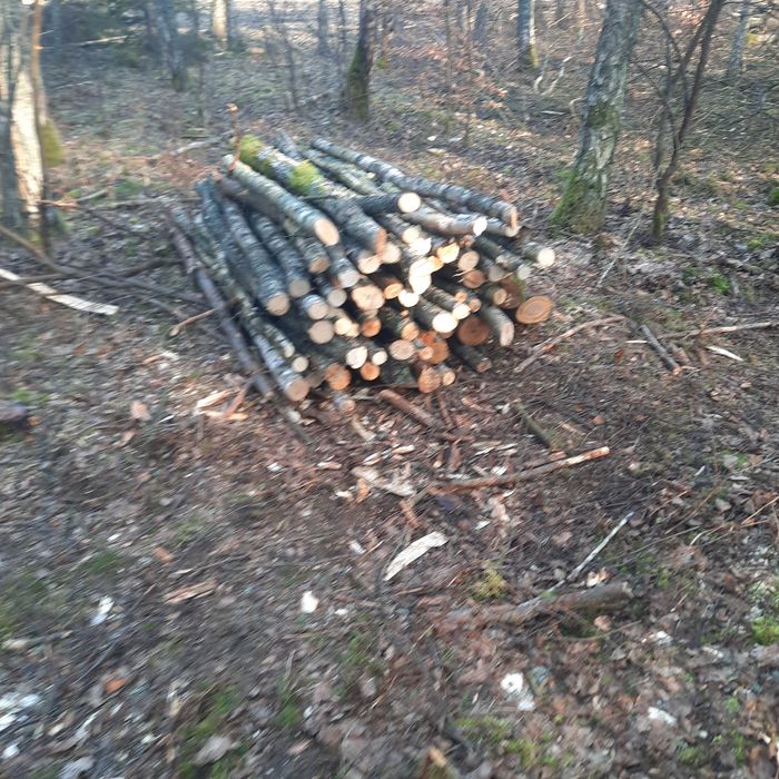 Sprzedam drewno gałeziówka sosna w całości