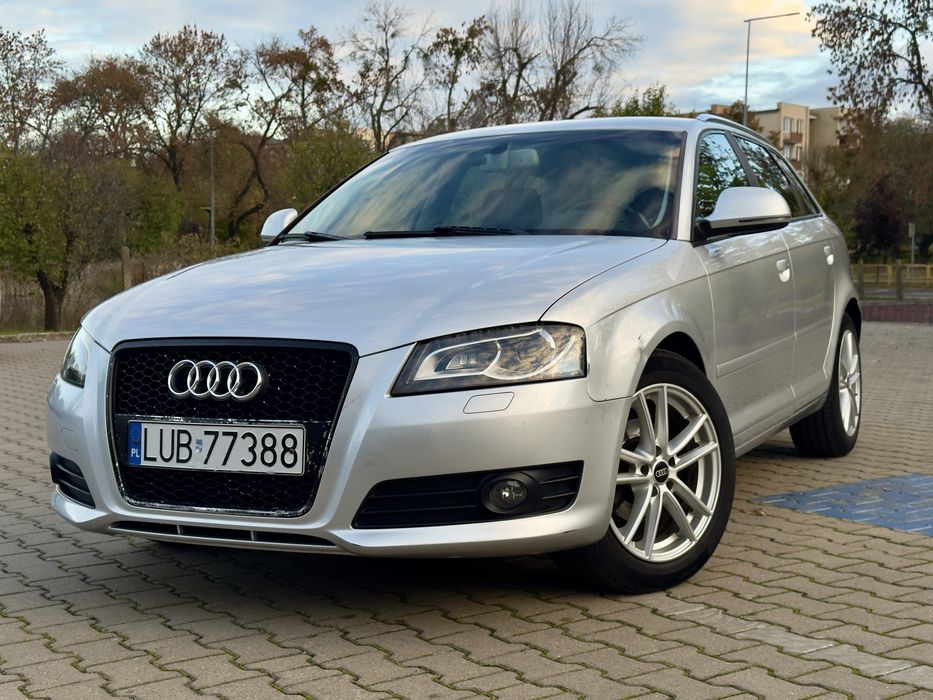 Audi A3 8P 1.6 TDI