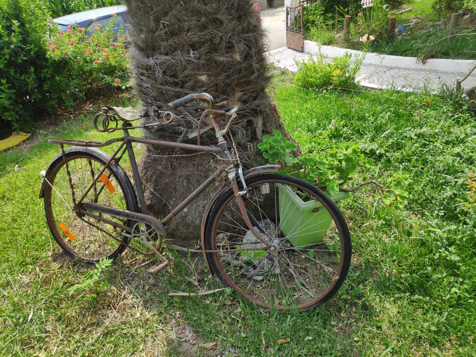 Bicicleta Coleção
