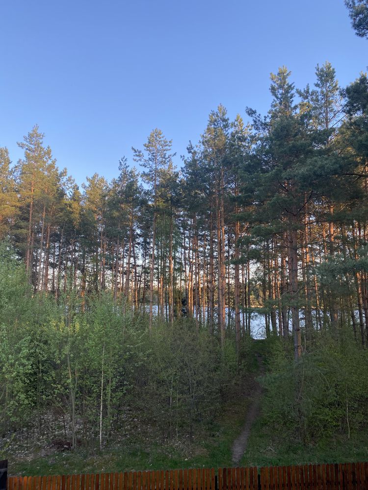 Domek letniskowy w Puszczy Augustowskiej w Atenach sauna balia