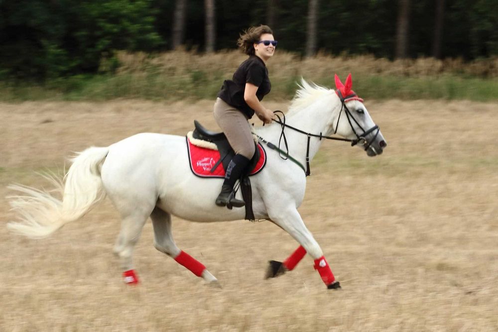 Współdzierżawa konia Poznań