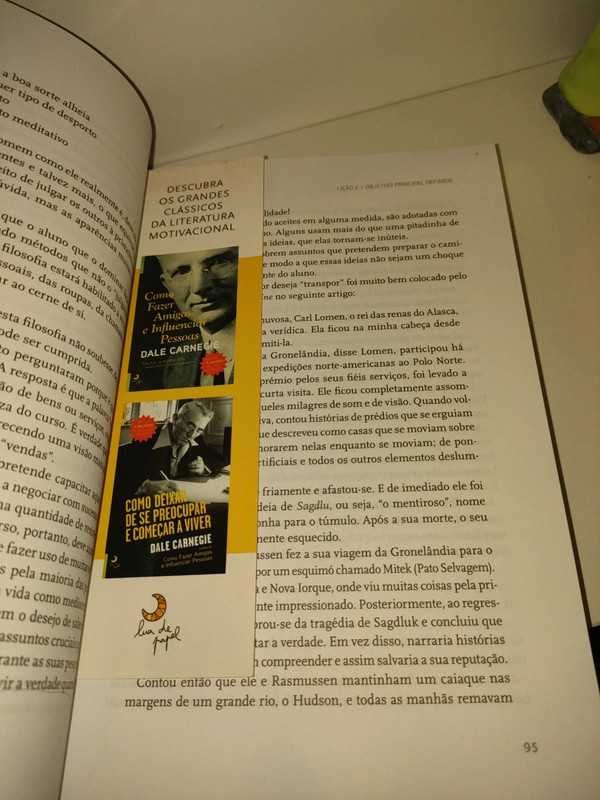 Lei do Sucesso - Napoleon Hill