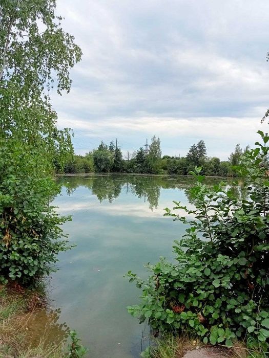 Продається дача в Черніїві,Івано-франківська обл.