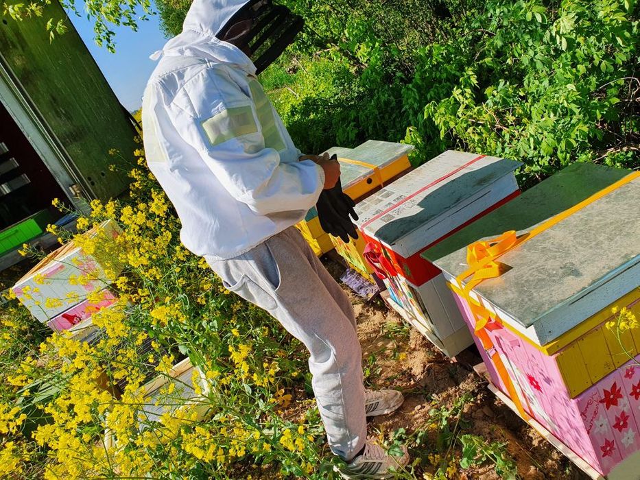 Miód pasieka Leśniewskich