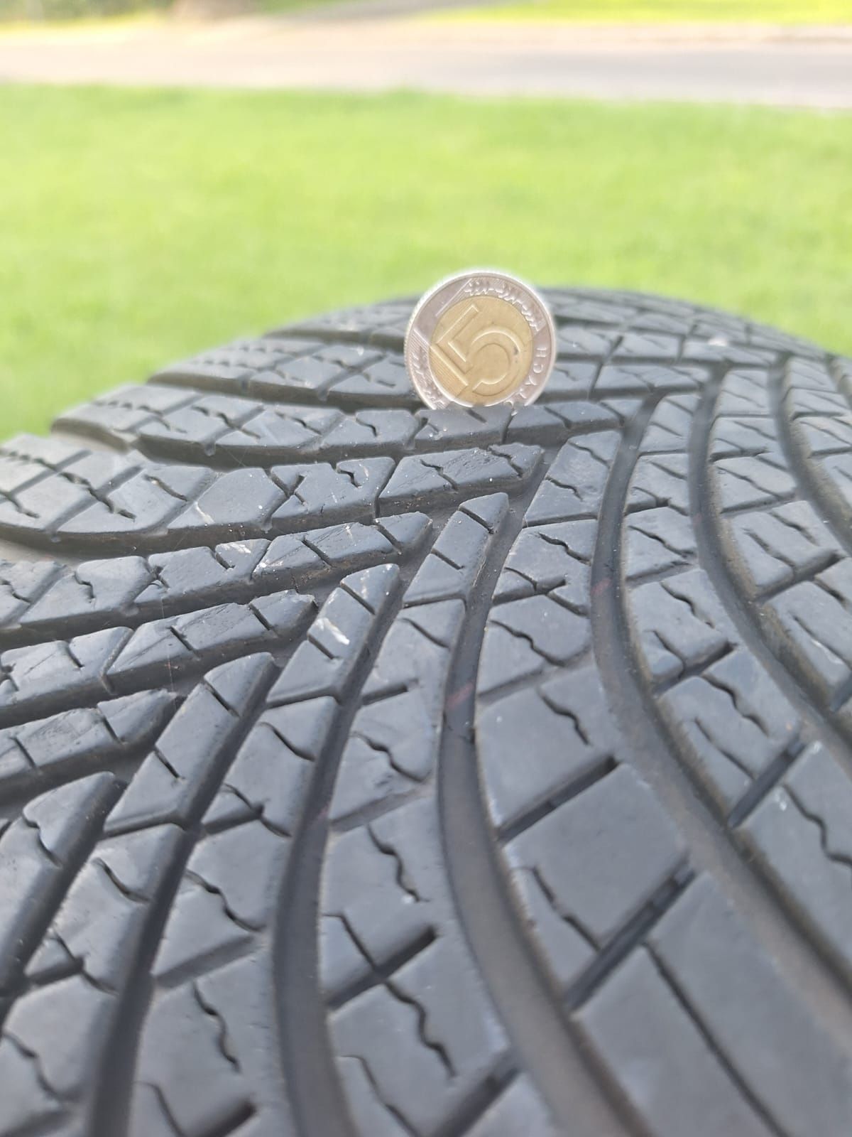 Opony wielosezonowe Dębica Navigator 195/65R15