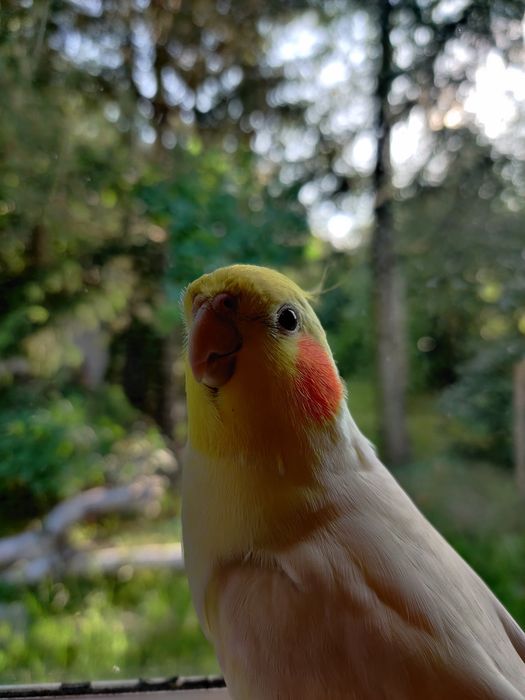 Telefon  OnePlus 7Pro 128 GB