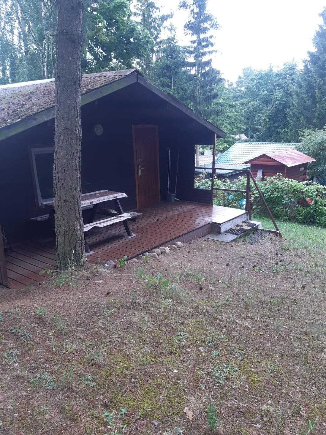 Mazury-Domek Letniskowy nad jeziorem Wersminia, Martiany