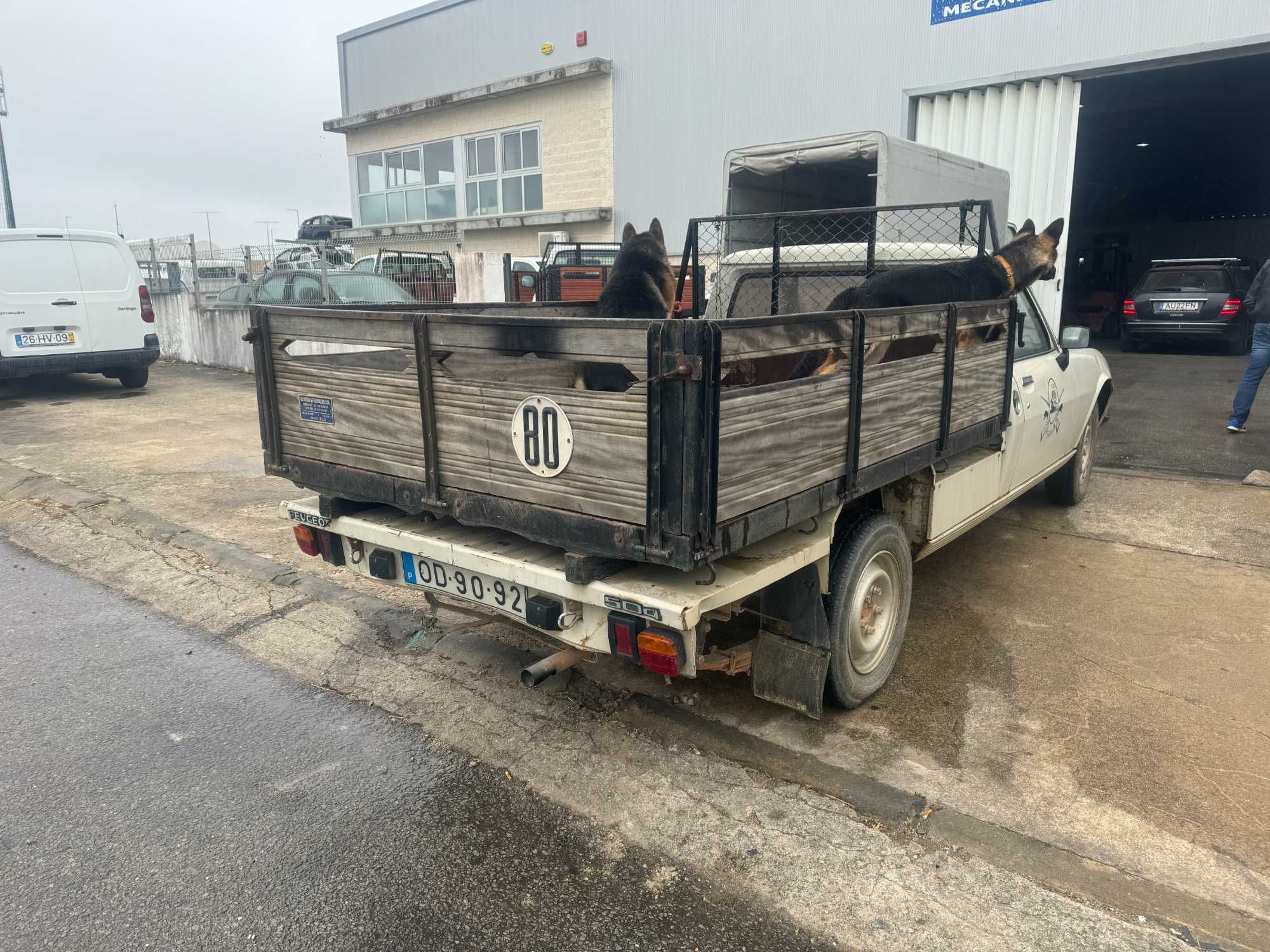 Peugeot 504 pick up