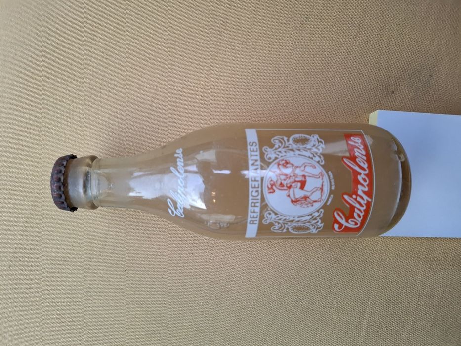 Rifregerante calipolense vila viçosa