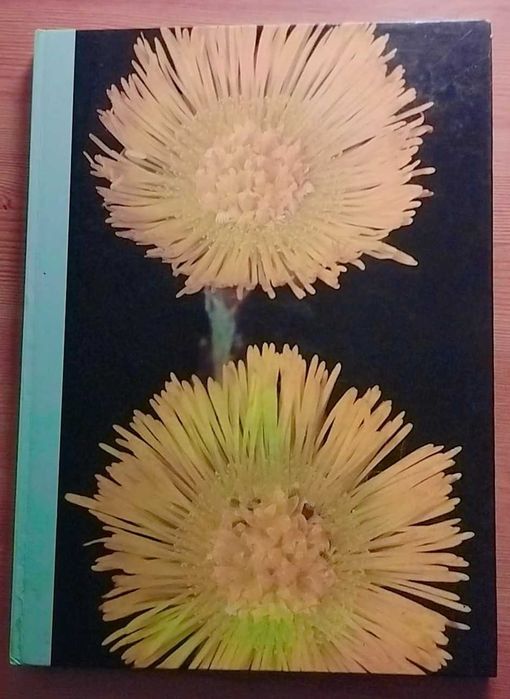 As Plantas Nossas Amigas: A Saúde Pelas Plantas Volume II
