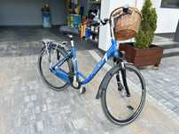Rower holenderski damka