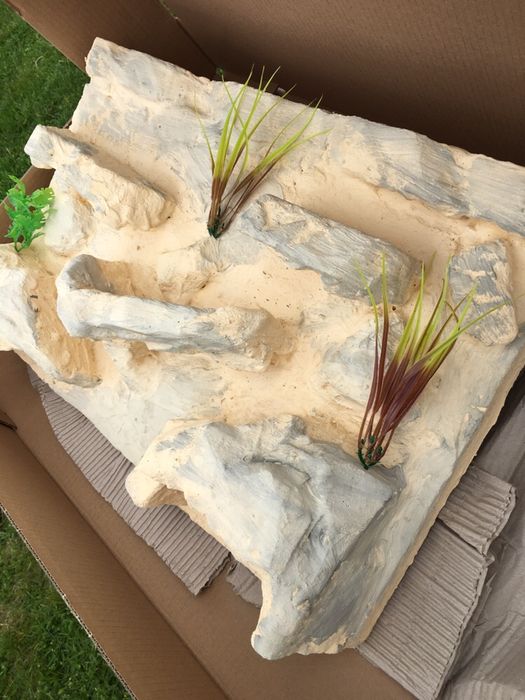 Tło 3D terrarium agama wąż gekon