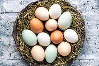 Ovos de Galinha Biológicos - Azuis/Brancos/Castanhos